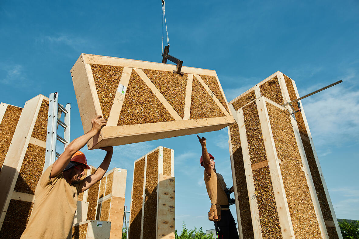 Workers constructing an ecococon build